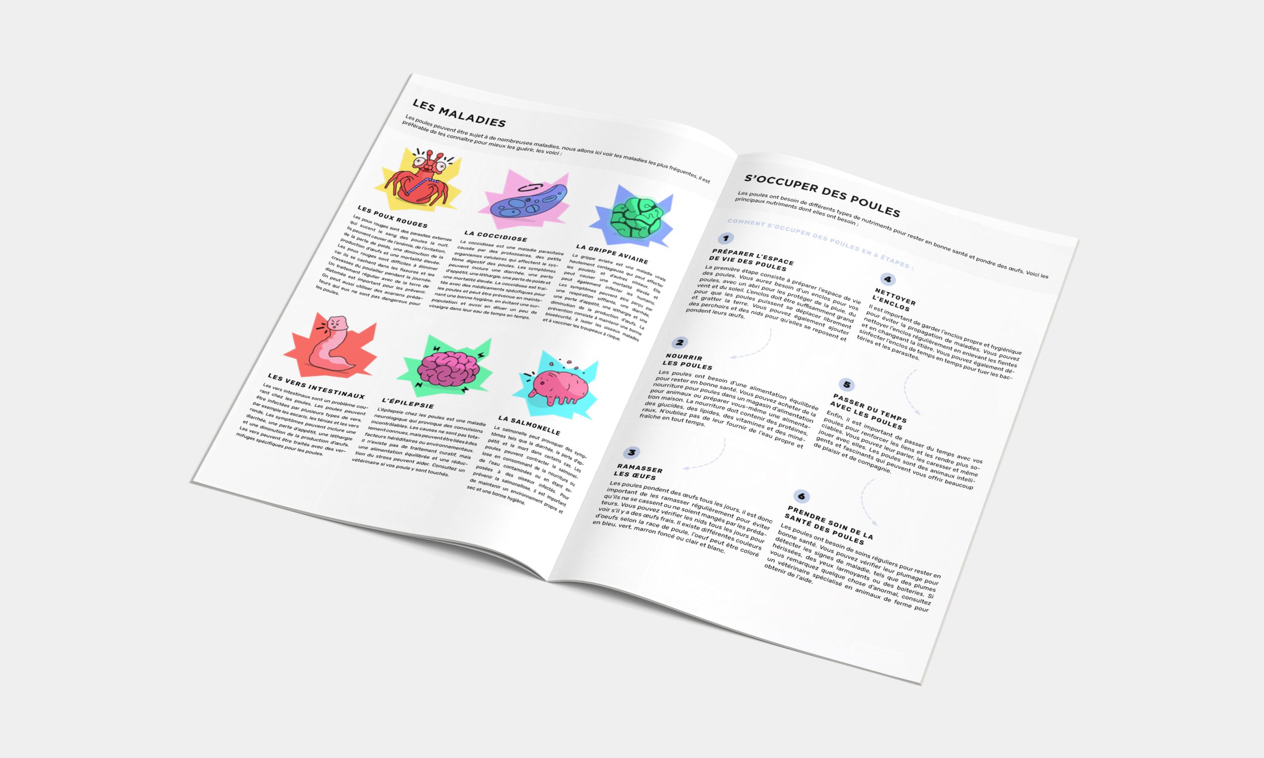Conception Editorial, conçu par Cosmovision, durant ses études de Designer Graphique