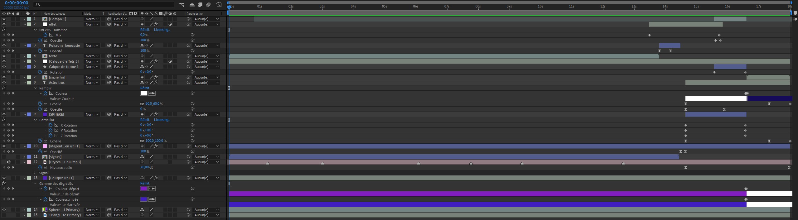 Photographie, screenshot du montage vidéo sur le logiciel After Effects fait pour une entreprise local qui fait de la création de contenu