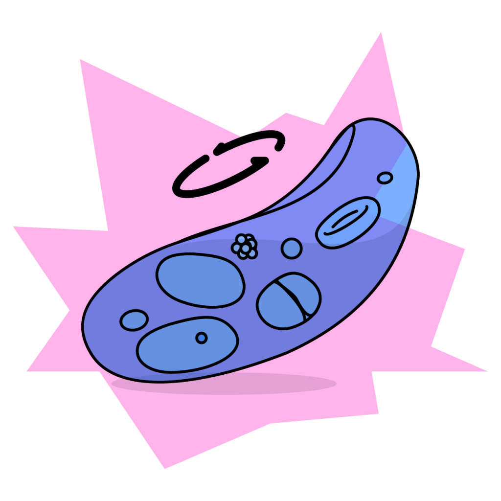 illustration maladie des poules