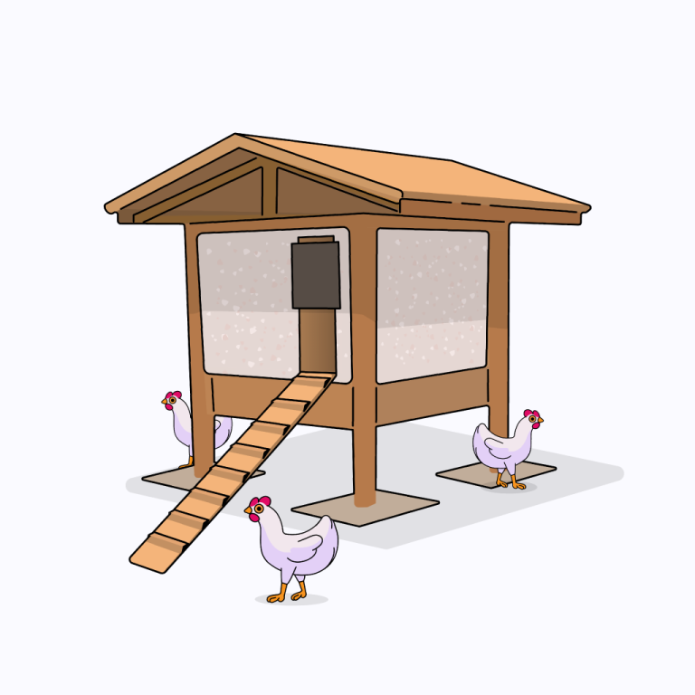 Illustration d'un poulailler DIY, fait par Ambroise Le Guennec (Cosmovision) en Bretagne